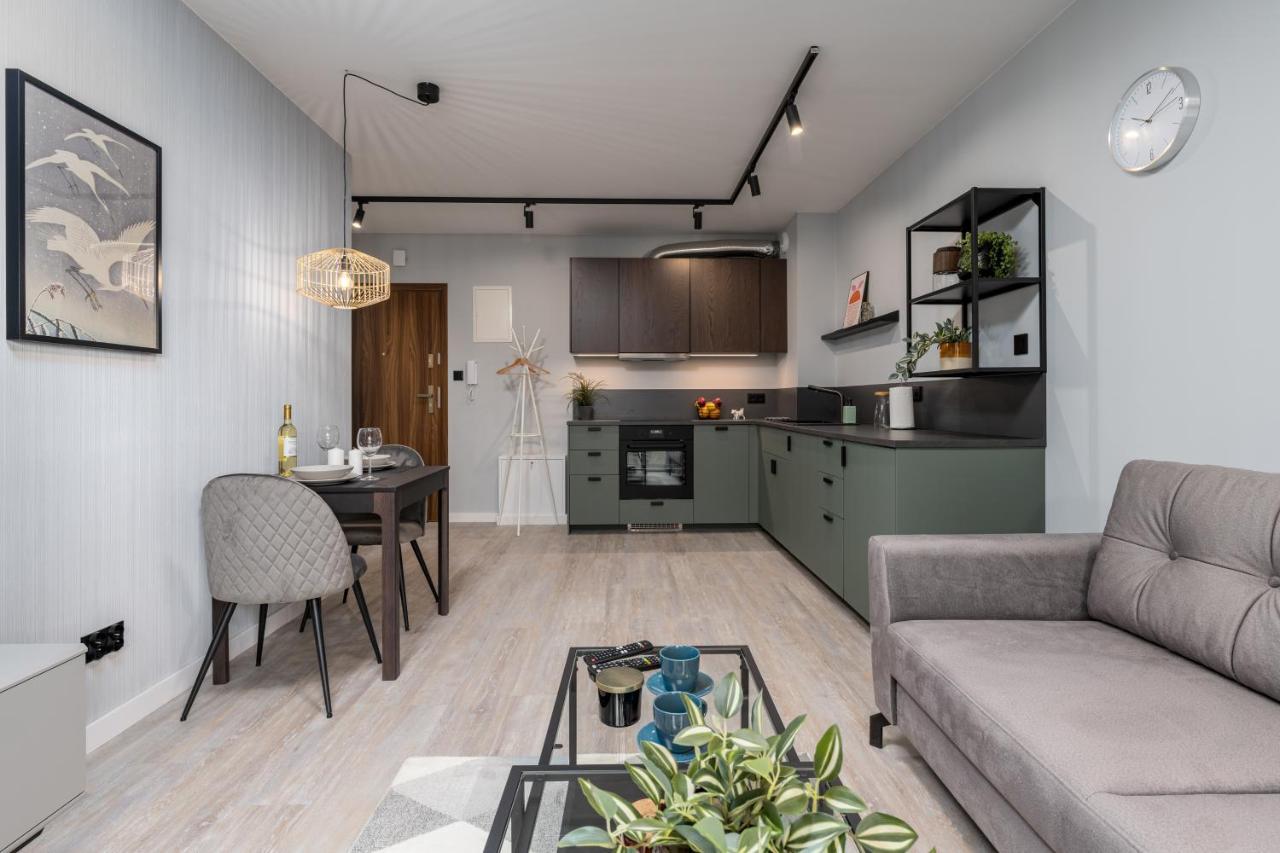 Citycenterapartments-11/21 Бельско-Бяла Экстерьер фото